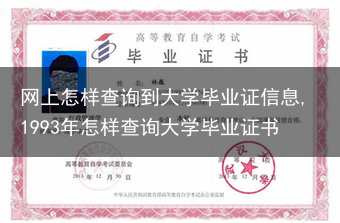 网上怎样查询到大学毕业证信息,1993年怎样查询大学毕业证书