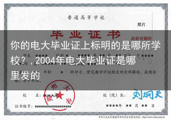 你的电大毕业证上标明的是哪所学校？,2004年电大毕业证是哪里发的
