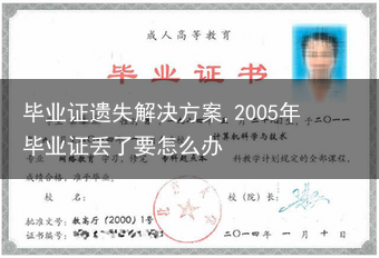 毕业证遗失解决方案,2005年毕业证丢了要怎么办