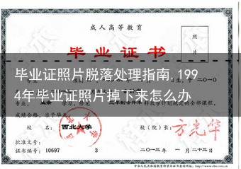 毕业证照片脱落处理指南,1994年毕业证照片掉下来怎么办