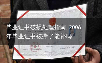 毕业证书破损处理指南,2006年毕业证书被撕了能补吗